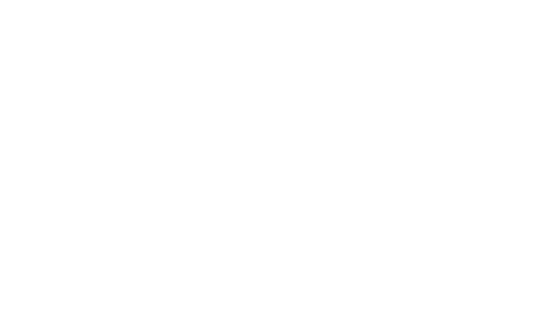 pfizics-logo-variations-04